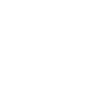 Dart