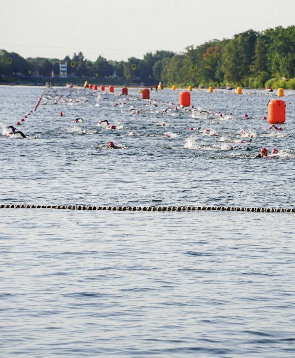 Disziplin Schwimmen - Iron Man 16.08.2026 Gruppe von Schwimmern mit roten Badekappen in einem durch Bojen markierten Seeabschnitt