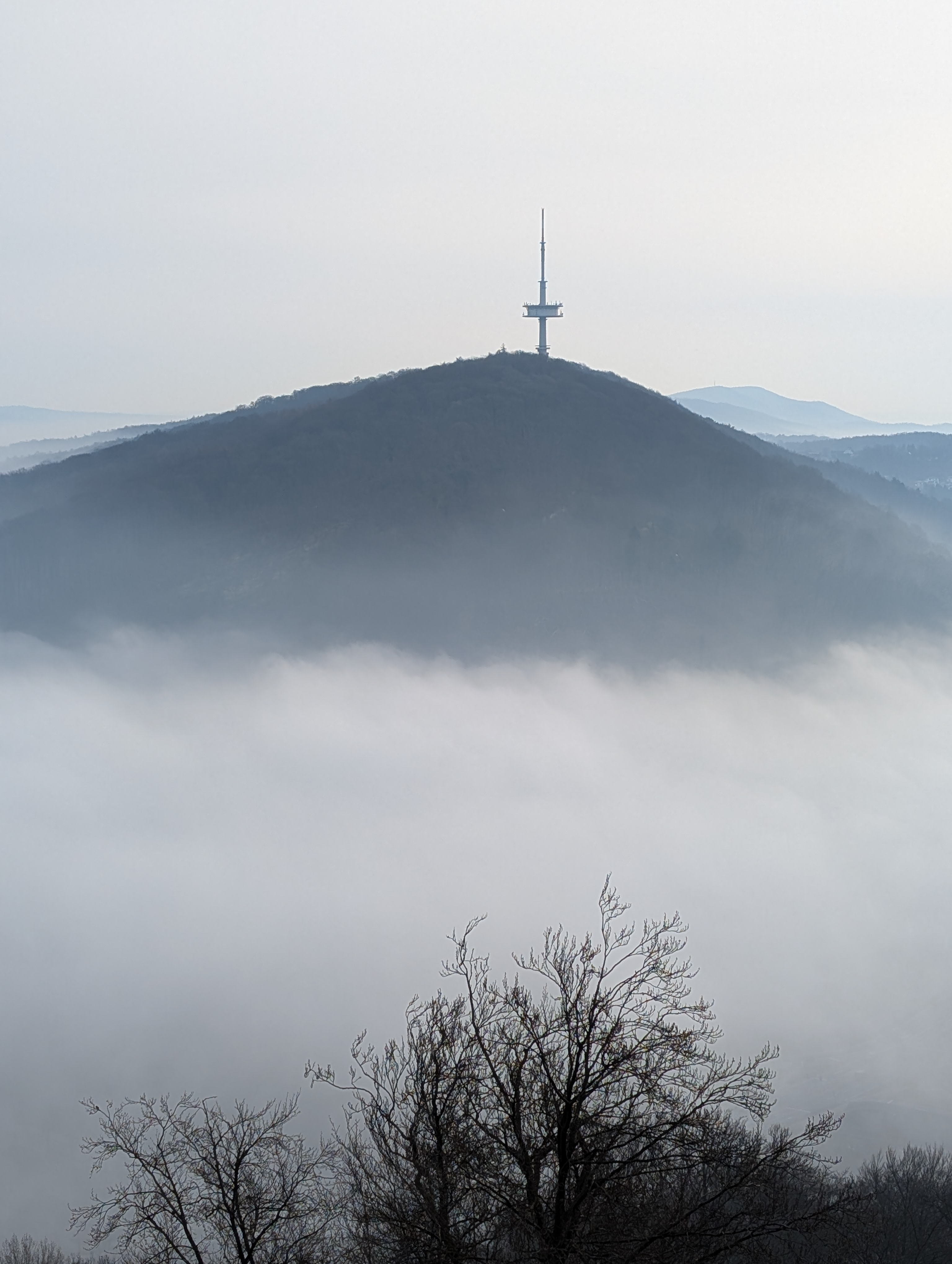 Wittekingslauf - Idylle Das Bild zeigt eine ruhige, neblige Landschaft mit einem markanten Hügel im Mittelpunkt. Auf der Spitze des Hügels steht ein schlanker Sendeturm mit einer Plattform, der sich deutlich gegen den hellen, leicht diesigen Himmel abhebt. Der Hügel ist von einem dichten Wald bedeckt, dessen Konturen durch den Nebel weich verschwimmen. Im Vordergrund sind kahle Bäume mit feinen, verzweigten Ästen zu sehen, was auf eine winterliche oder frühfrühlingshafte Jahreszeit hindeutet. Unterhalb des Hügels liegt eine dichte Nebelschicht, die wie ein „Meer aus Wolken“ wirkt und dem Bild eine stille, fast mystische Atmosphäre verleiht. Im Hintergrund sind weitere, sanfte Hügelketten erkennbar, die zunehmend blasser werden und in der Ferne im Dunst verschwinden. Insgesamt strahlt das Bild Ruhe, Weite und eine leicht melancholische Stimmung aus.