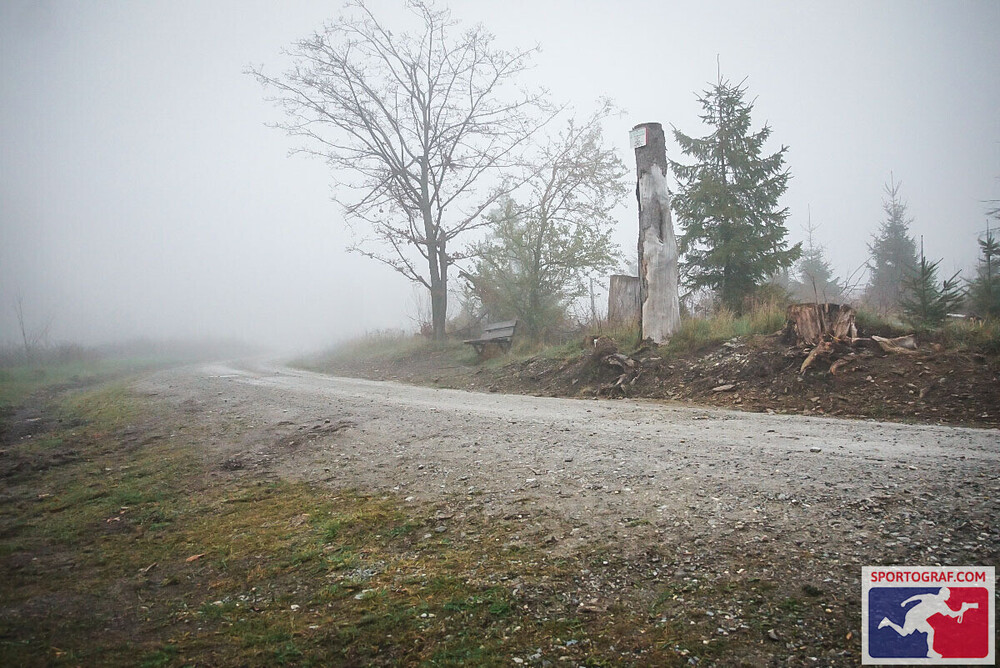 Harzgravel 3 Ein unbefestigter Weg verläuft durch eine neblige Landschaft. Am rechten Bildrand stehen mehrere Bäume, darunter ein abgestorbener Baumstamm. Im Hintergrund sind weitere Bäume im dichten Nebel nur schemenhaft zu erkennen. Im Vordergrund rechts unten befindet sich ein rechteckiges Logo mit einem stilisierten Läufer und Radfahrer sowie dem Schriftzug 'SPORTOGRAF.COM'.