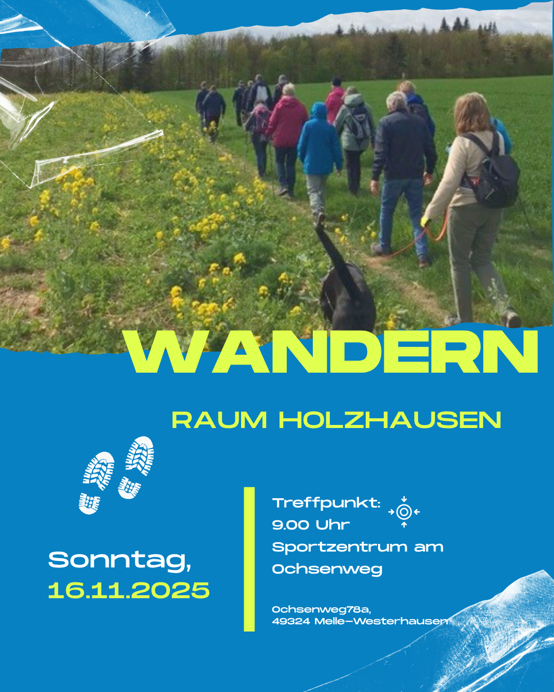 Wandern am 16.11.2025 im Raum Holzhausen Gruppe von Wanderern auf einem Feldweg neben blühenden gelben Pflanzen, darüber Text 'WANDERN RAUM HOLZHAUSEN' und Details zum Treffpunkt und Datum.